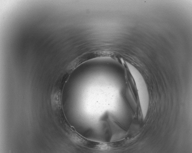 X0000068270425200605051820