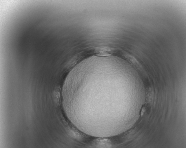 X0000068270427200605051820