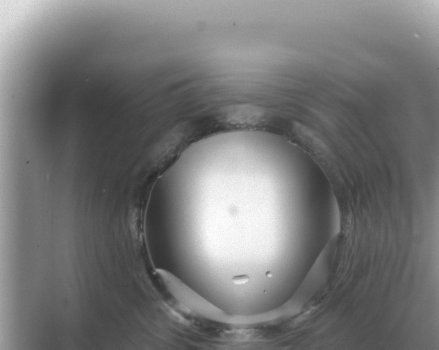 X0000068270428200605051820