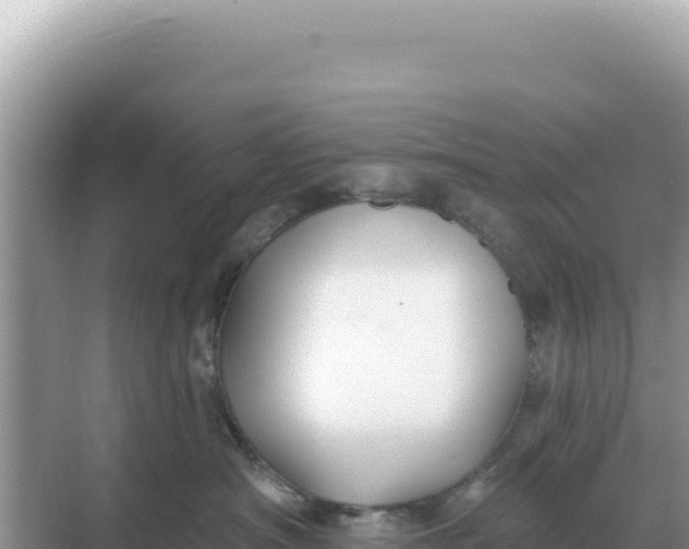 X0000068270430200605051820