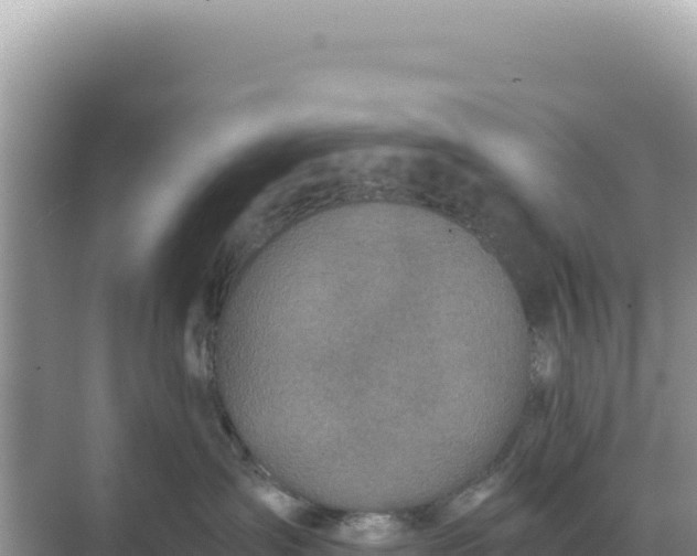 X0000068270431200605051820