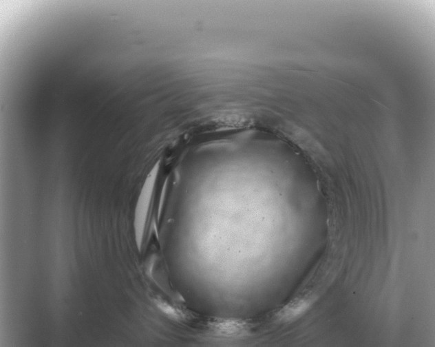 X0000068270432200605051820