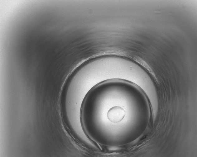 X0000068270436200605051819