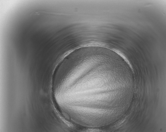 X0000068270437200605051819