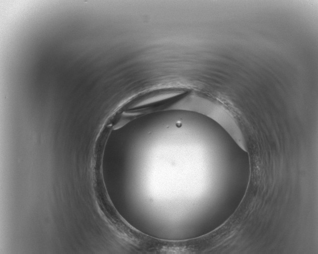 X0000068270440200605051819