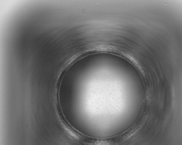 X0000068270445200605051819