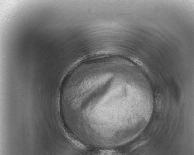 X0000068270446200605051819