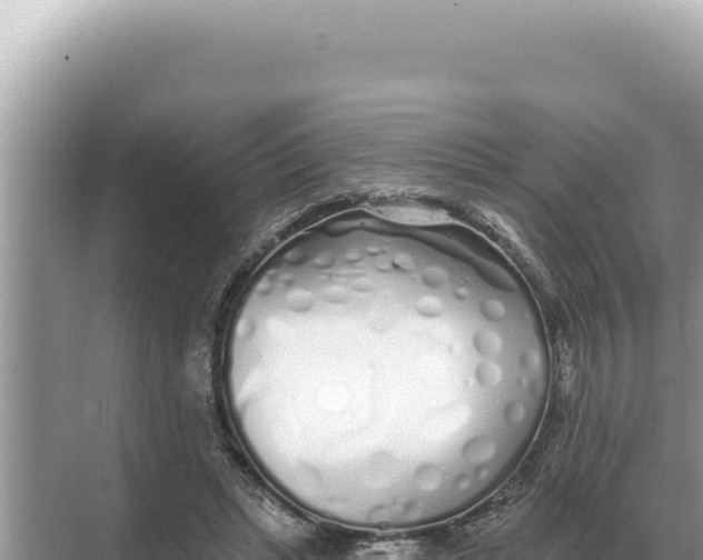 X0000068270447200605051819