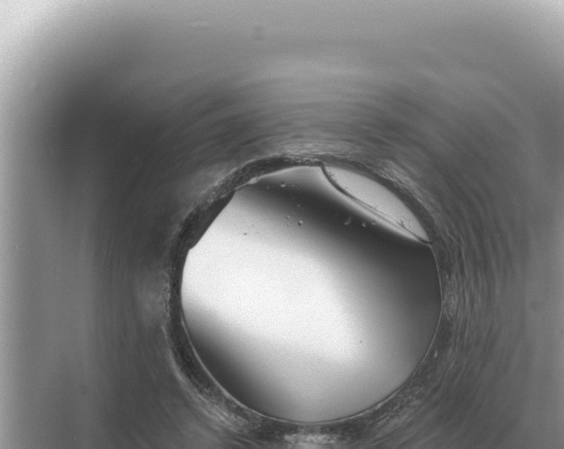 X0000068270448200605051819