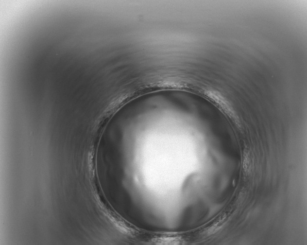 X0000068270449200605051819