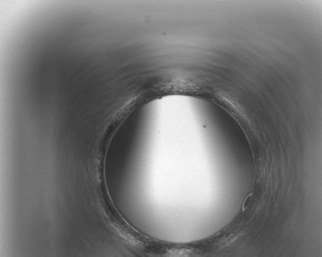 X0000068270450200605051819