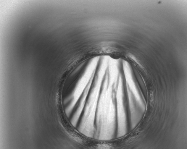 X0000068270451200605051819