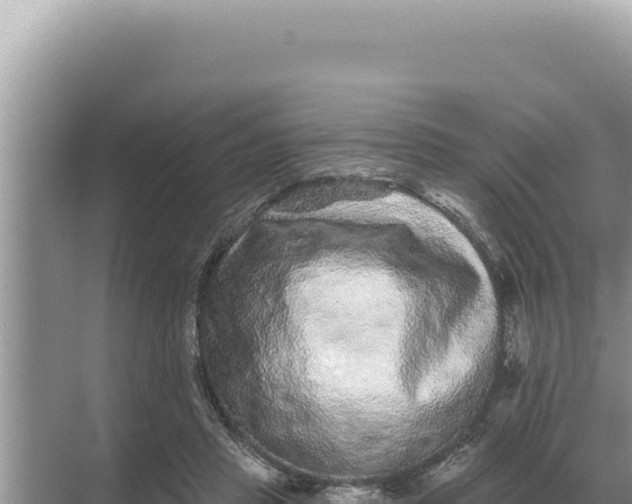 X0000068270453200605051819