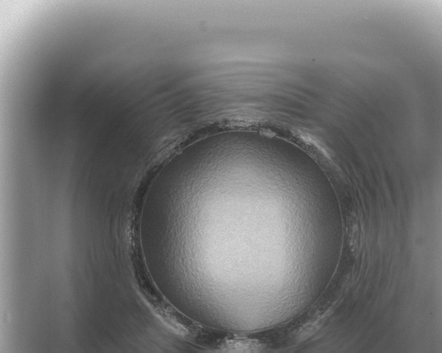 X0000068270455200605051819