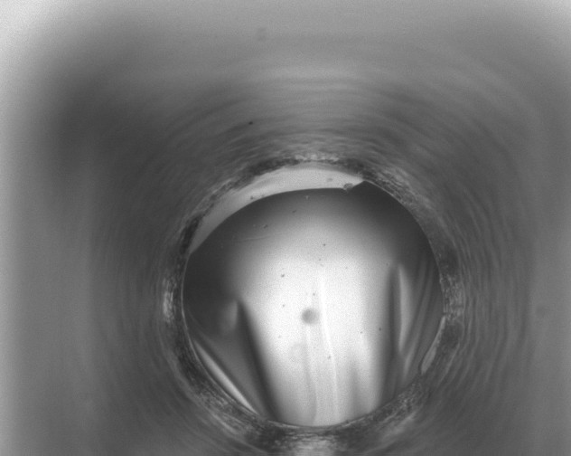 X0000068270456200605051819