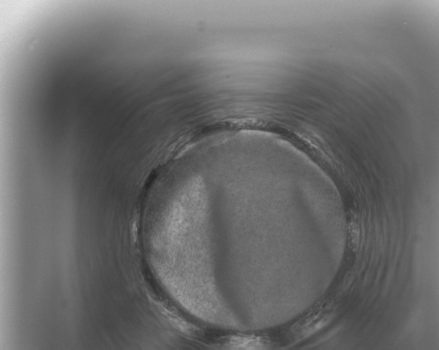 X0000068270458200605051819