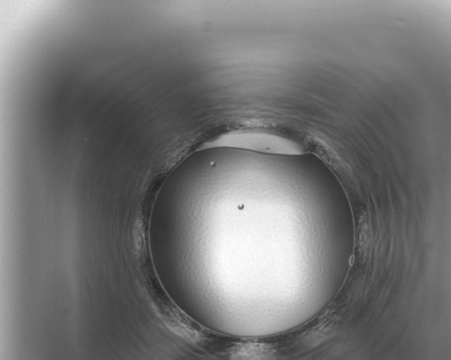 X0000068270459200605051819