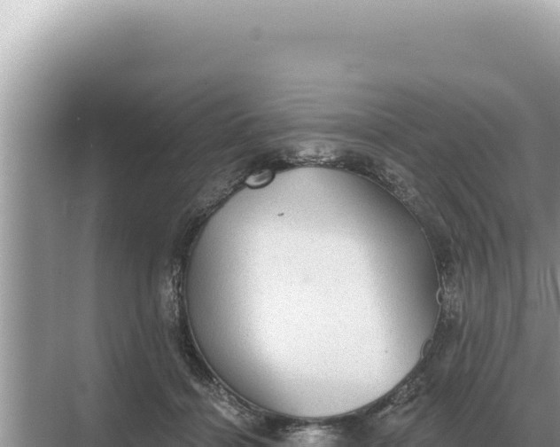 X0000068270460200605051819