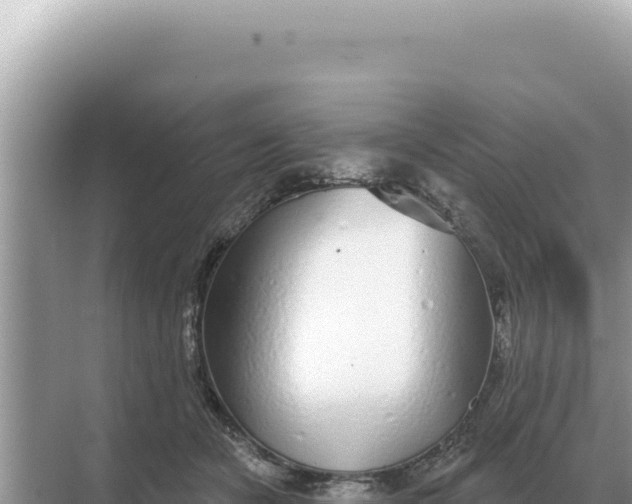 X0000068270462200605051819