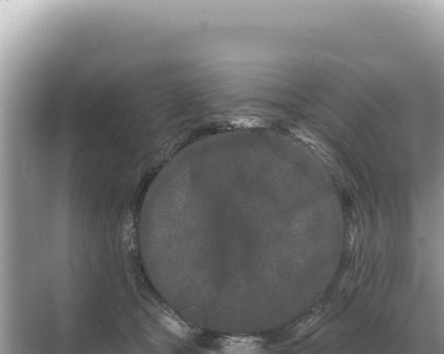 X0000068270465200605051819