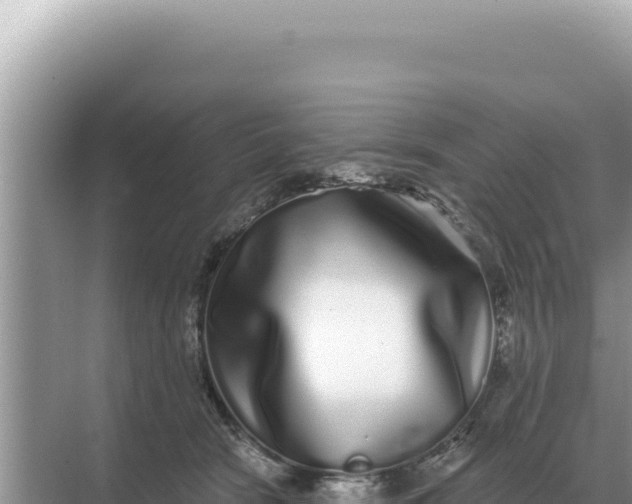 X0000068270466200605051819