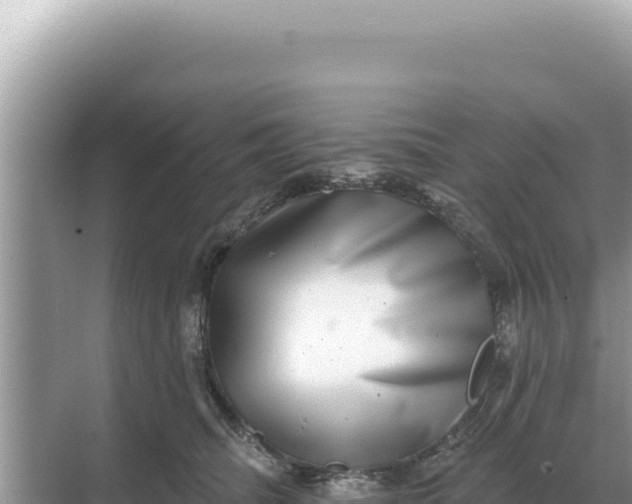 X0000068270468200605051819