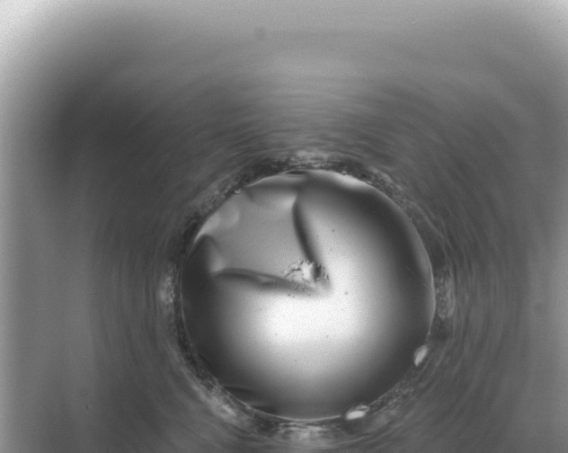 X0000068270472200605051819