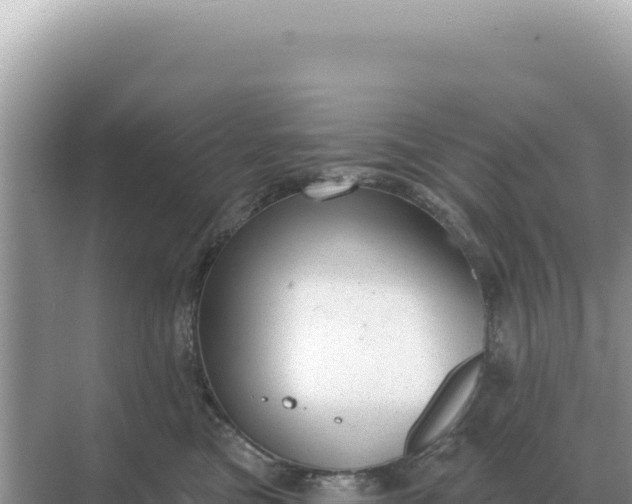 X0000068270473200605051819