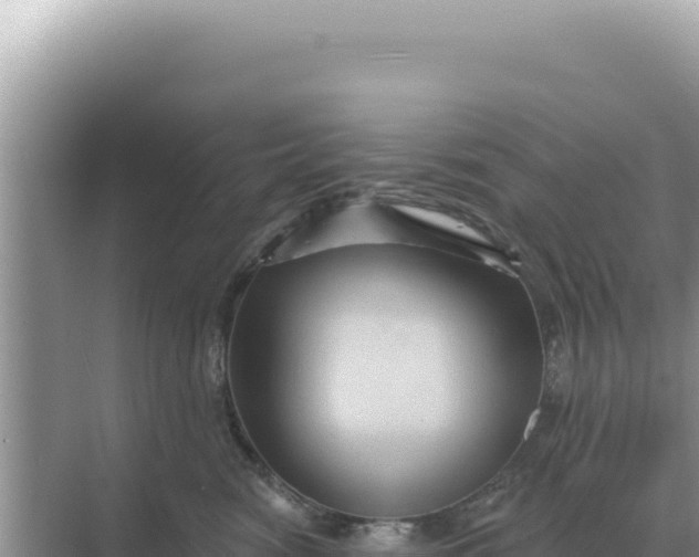 X0000068270474200605051820