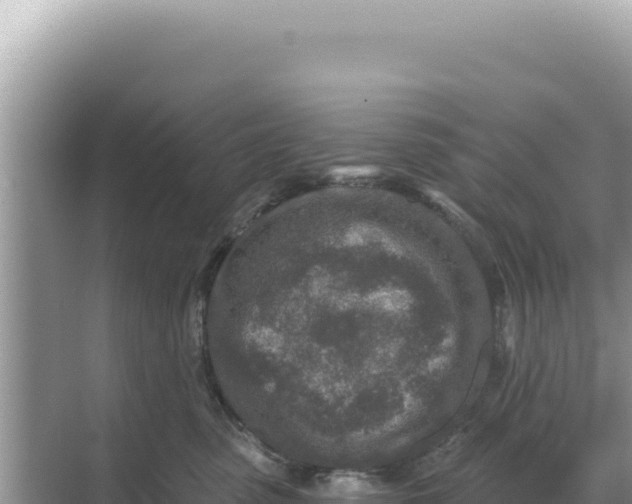 X0000068270475200605051820