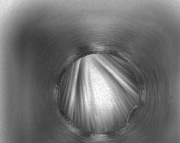 X0000068270476200605051820