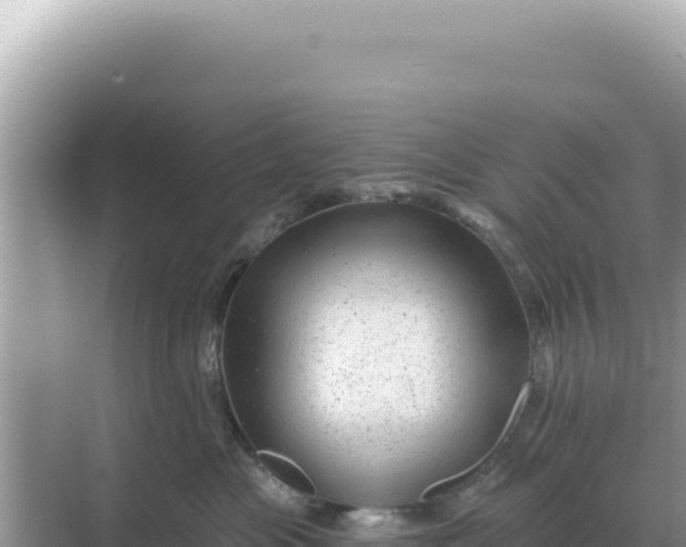 X0000068270477200605051820