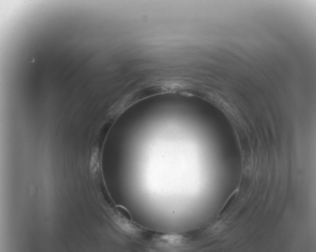 X0000068270478200605051820