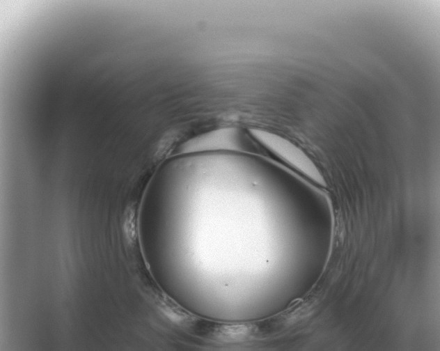 X0000068270479200605051820