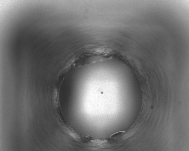 X0000068270480200605051820