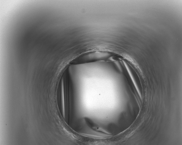 X0000068270481200605051819