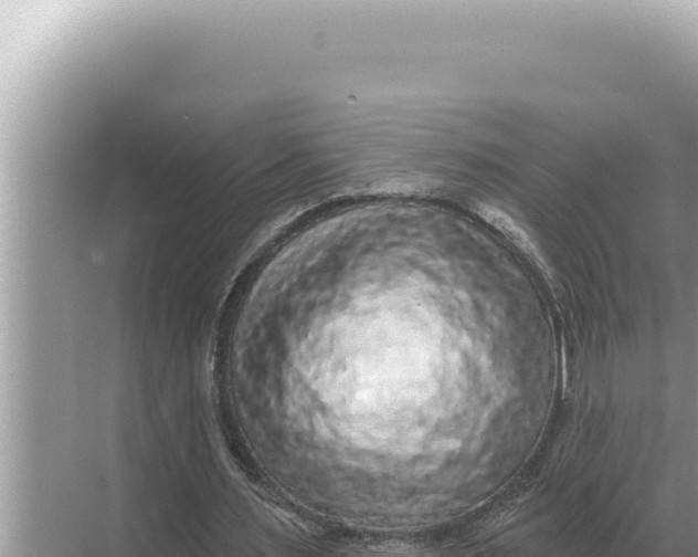 X0000068270483200605051819