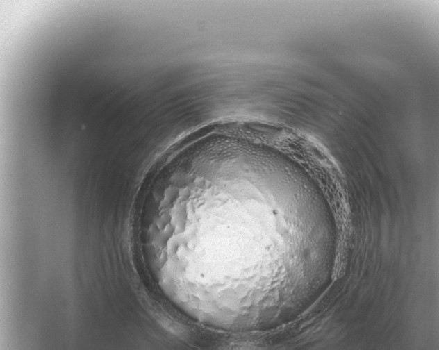 X0000068270487200605051819