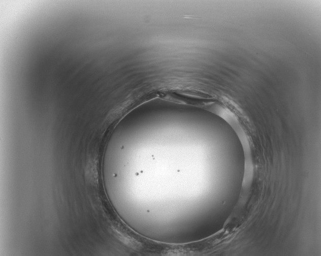 X0000068270489200605051819