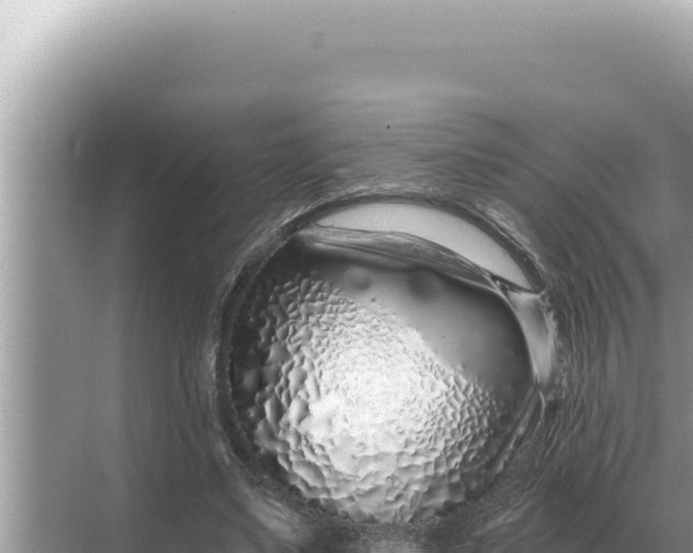 X0000068270491200605051819