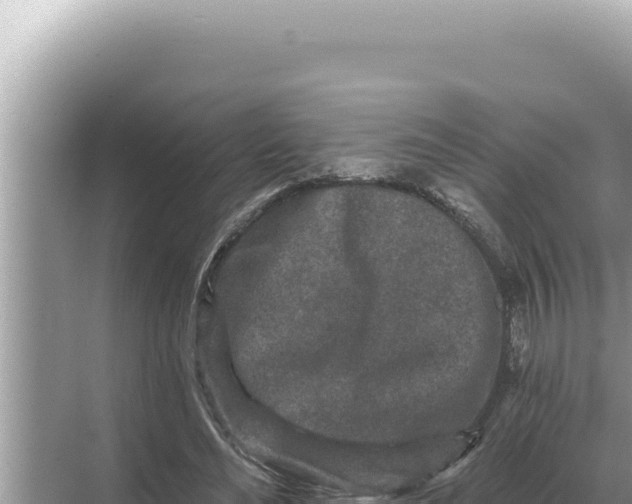 X0000068270492200605051819