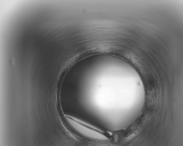 X0000068270493200605051819