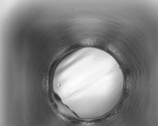 X0000068270494200605051819