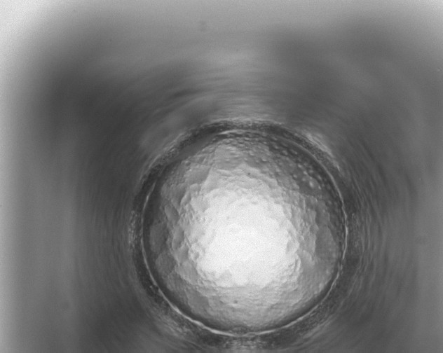 X0000068270495200605051819