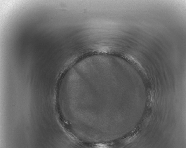 X0000068270496200605051819