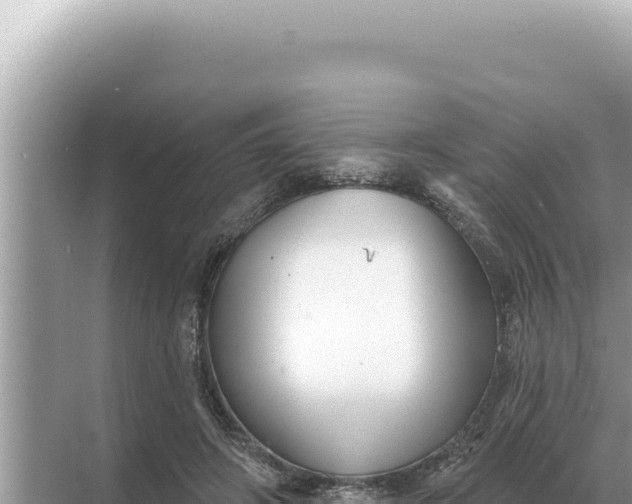 X0000068270498200605051819