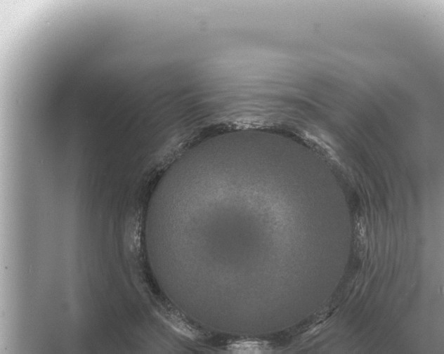 X0000068270499200605051819