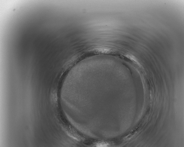 X0000068270500200605051818