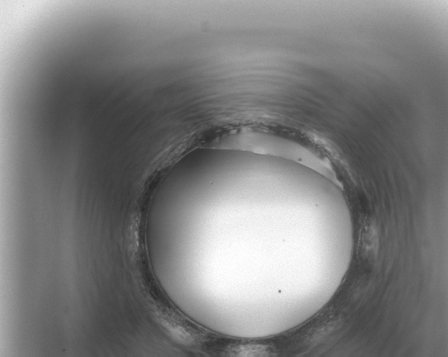 X0000068270501200605051818