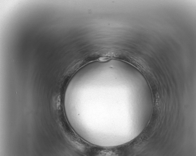 X0000068270502200605051818